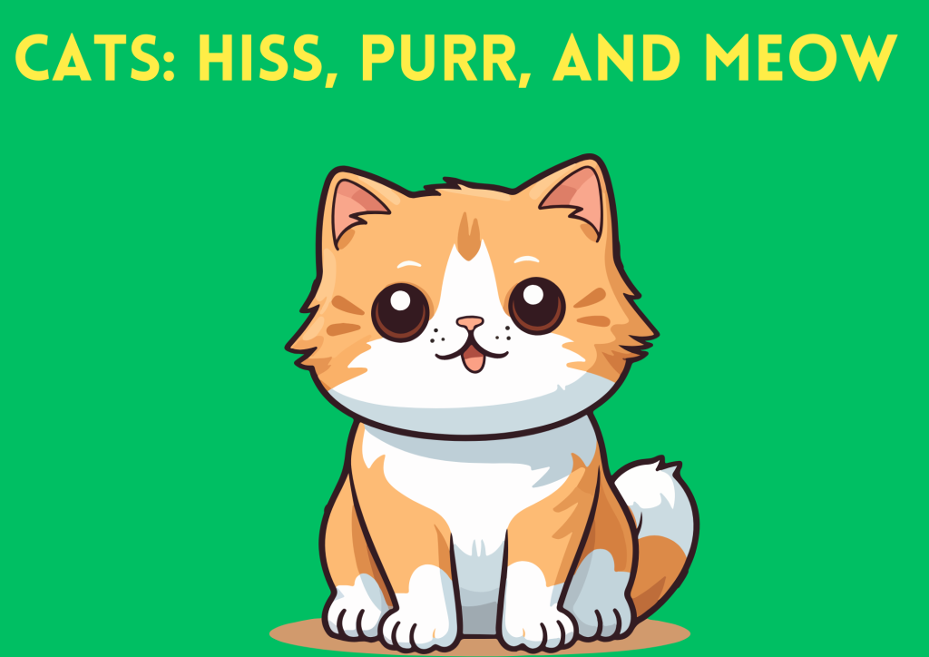 animal and their sounds - cats, purr, hiss and meow