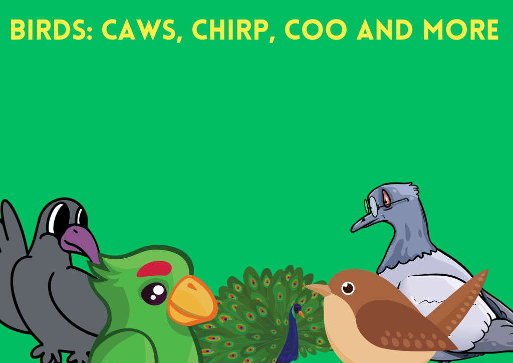 what sounds do birds make