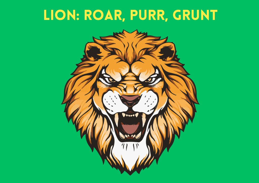 lions roar