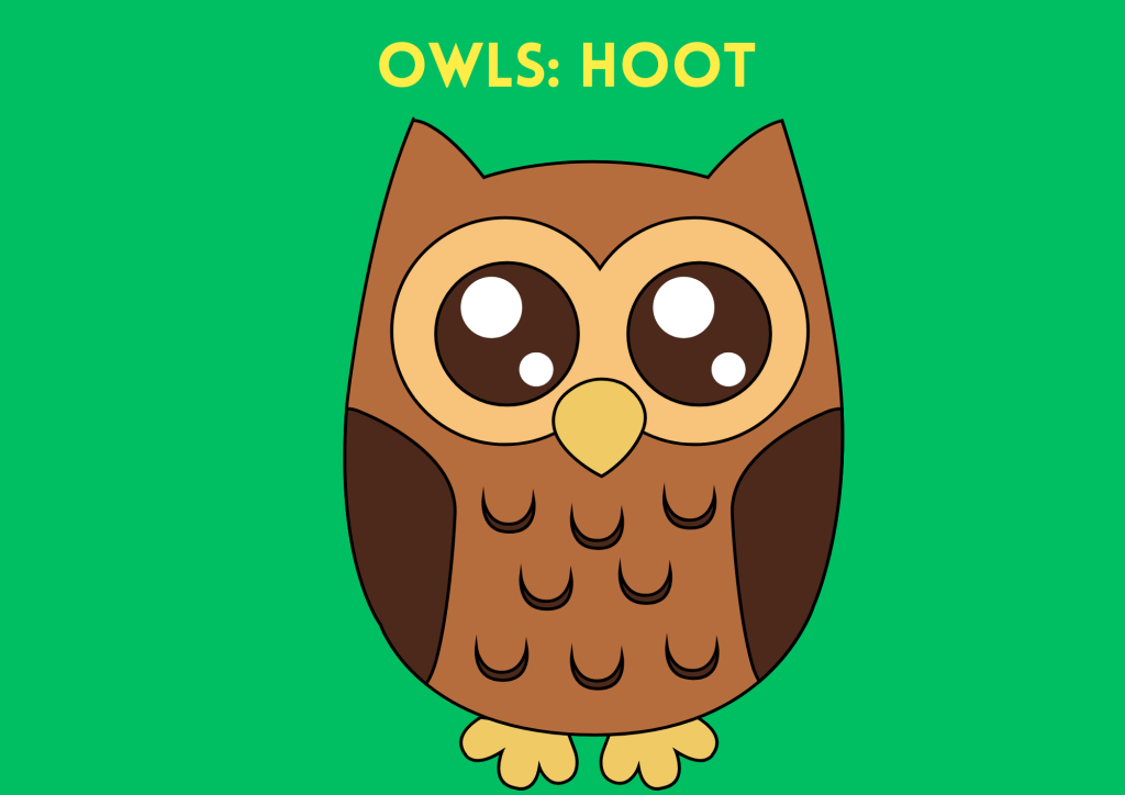 owls hoot