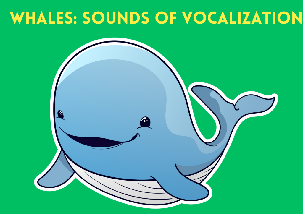 whale sings