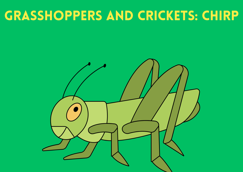 crickets sound