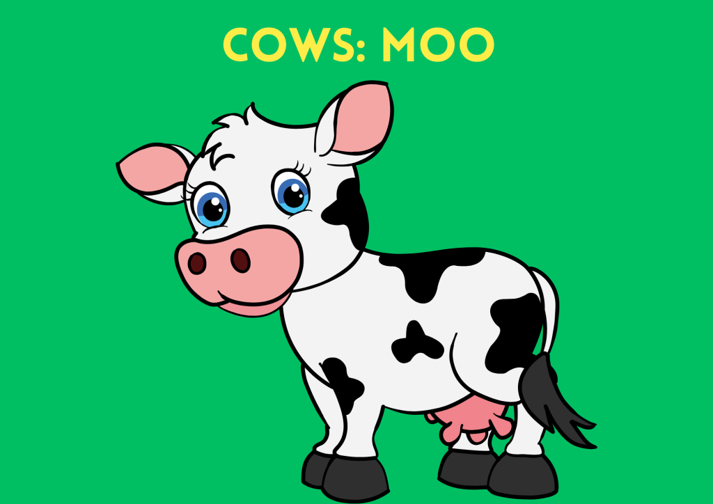 animals and their sounds - cows moo
