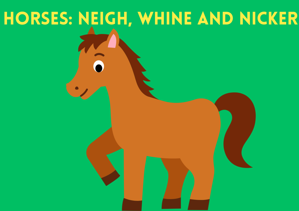 horses sound