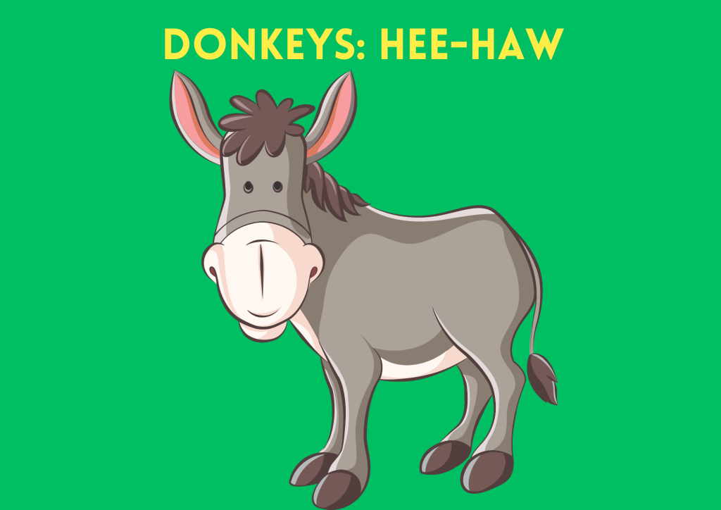 donkey sounds