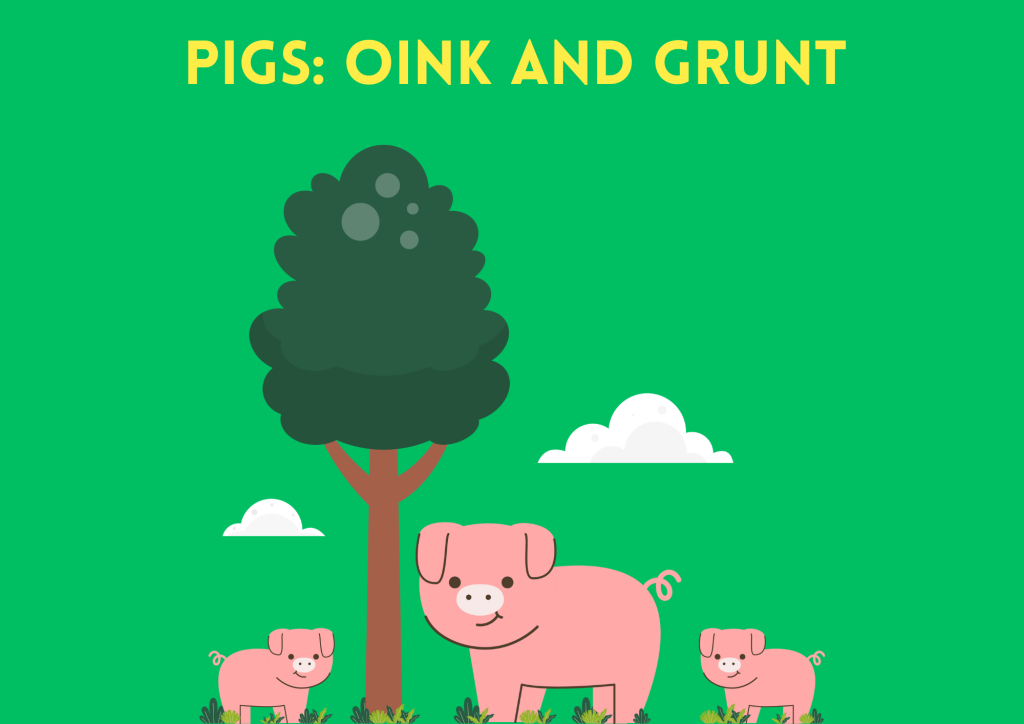pig sounds