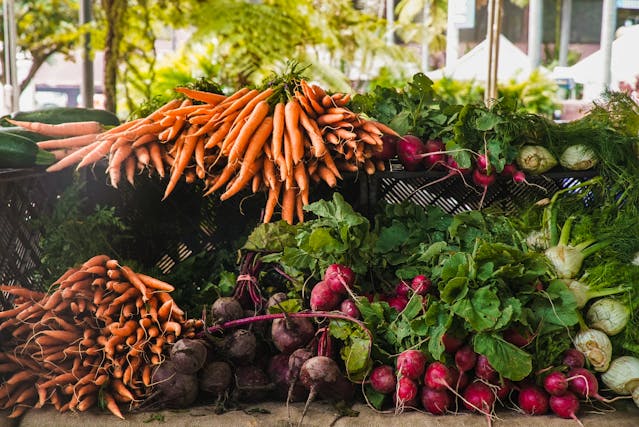 What Are the Sources of Food From Plants?